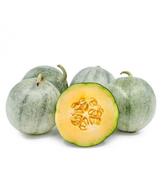 Meloa  Charentais