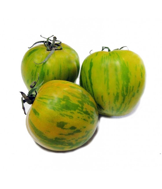 Sementes de Tomate Green Zebra