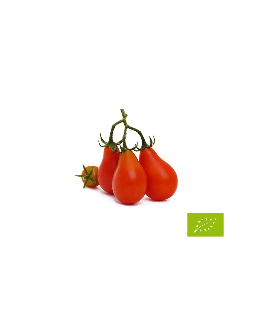 Tomate Red Pear