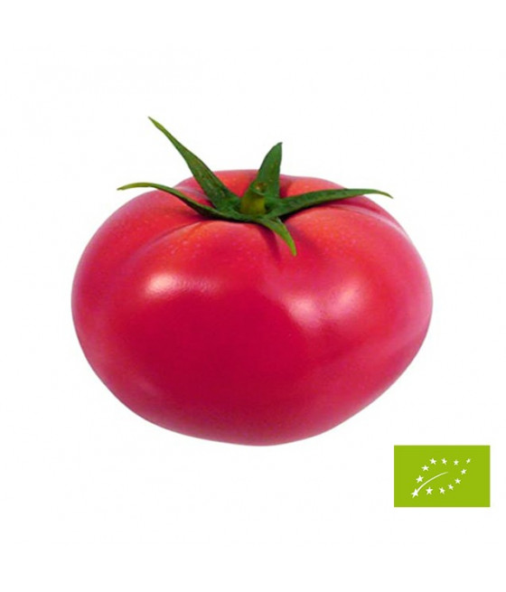 Sementes de Tomate Ace 55 VF