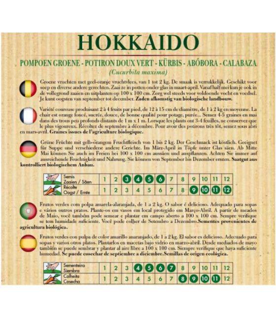 Abóbora Hokkaido Verde