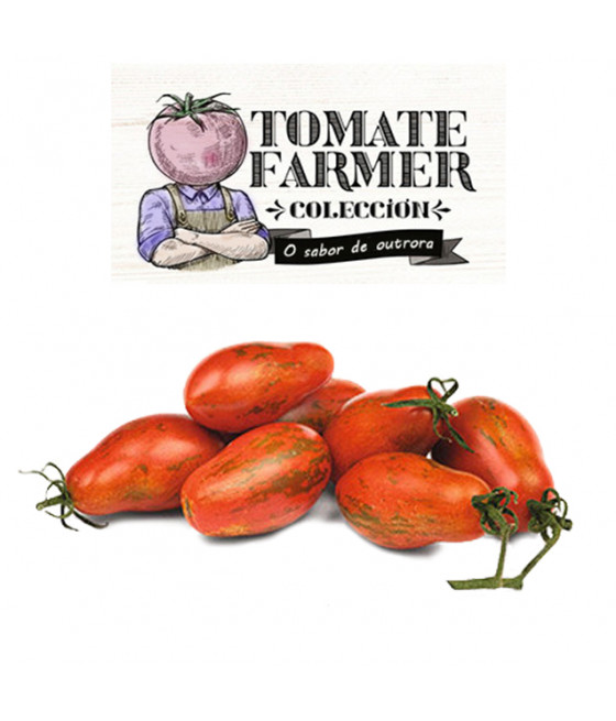 Sementes de Tomate Tigrella Bicolor