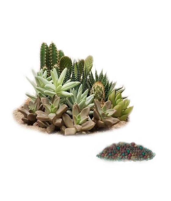 Adubo BOSKOT - Cactus e Suculentas