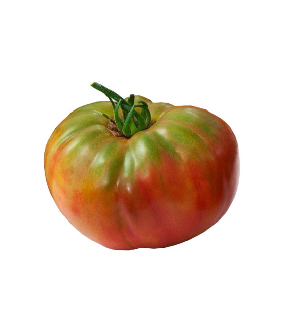 Sementes de Tomate Pantano Romanesco