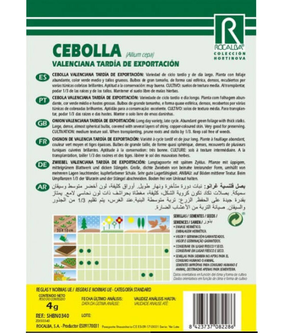 Cebola Valenciana Tardia - Exportação