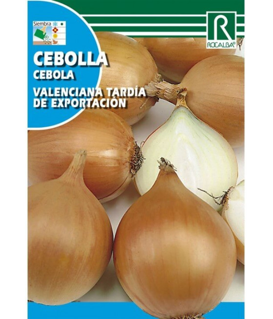 Cebola Valenciana Tardia - Exportação
