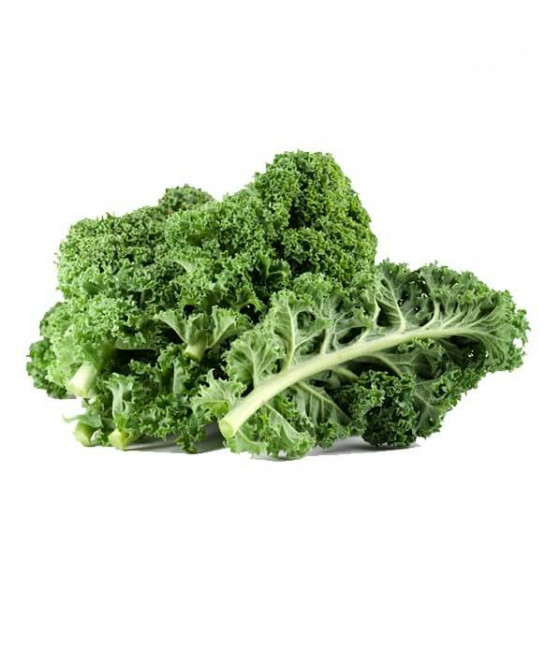 Sementes de Couve Frisada Verde - Kale